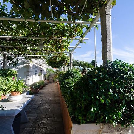 Guest House Jelica Dubrovnik Dış mekan fotoğraf